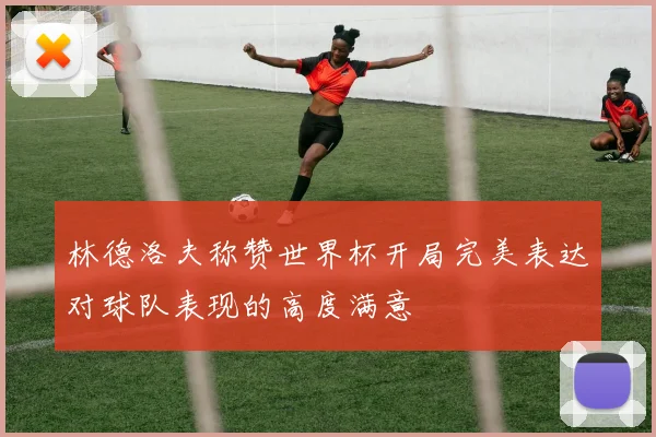 林德洛夫称赞世界杯开局完美表达对球队表现的高度满意