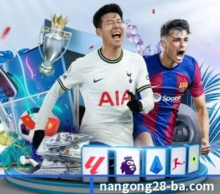 南宫28 APP(ng28)